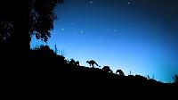 Click to watch 'Kangaroo Valley' (popup) Earth At Night In Color